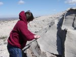 White Sandstone layers on Saddle Mountain