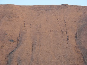 The trace of the bulldozer descent of the north face of Saddle Mountain above Crab Creek. The track is located around nine miles east of the Columbia River. This view is a telephoto image, showing only the upper section of the trace.